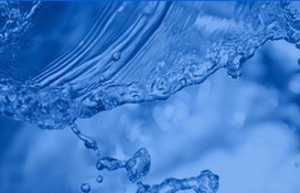 有毒有害物质会影响出水氨氮超标吗？